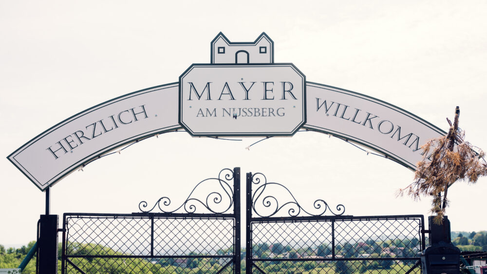 Mayer am Nussberg is a charming Viennese winery offering locally produced wines.